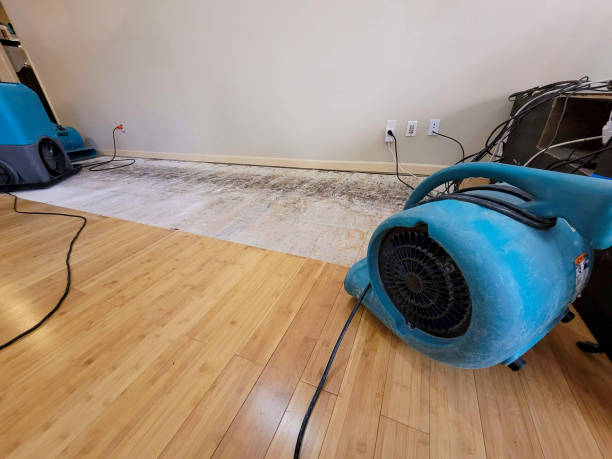 Reliable Basement Flood Cleanup contractor in Caledonia, MS by Hirex Water Damage