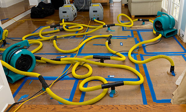Professional Basement Flood Cleanup technician working in Caledonia, MS